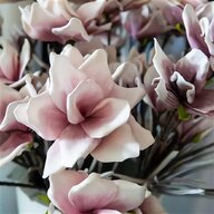 magnolienzweig gebraucht kaufen
