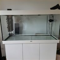 aquarium 500 liter gebraucht kaufen
