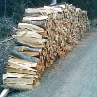 stamm brennholz gebraucht kaufen