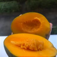 wollmantel mango gebraucht kaufen