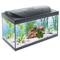 aquarium zubehor gebraucht kaufen