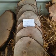 brennholz birke gebraucht kaufen