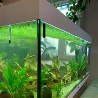 juwel aquarium rio 240 gebraucht kaufen