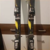 ski 160 gebraucht kaufen