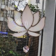 lotus pflanze gebraucht kaufen