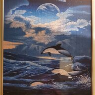 delfin poster gebraucht kaufen