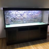 aquarium t5 gebraucht kaufen