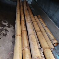 bambusstangen gebraucht kaufen