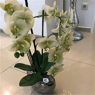 orchideen vase gebraucht kaufen
