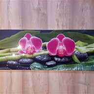 glasbild orchidee gebraucht kaufen