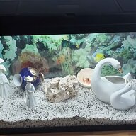 aquarium dekoration gebraucht kaufen