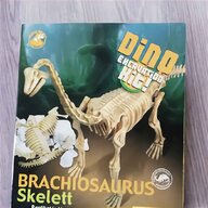 dinosaurier skelett gebraucht kaufen