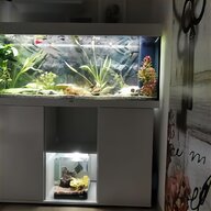 aquarium deko gebraucht kaufen