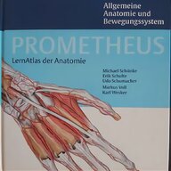 prometheus lernatlas anatomie gebraucht kaufen