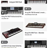korg pa keyboard gebraucht kaufen