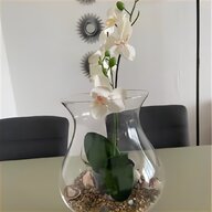 terrarium glas glasterrarium gebraucht kaufen