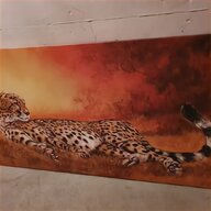 afrika leopard gebraucht kaufen