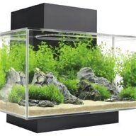nano aquarium fluval gebraucht kaufen