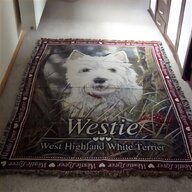 west highland terrier gebraucht kaufen