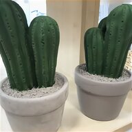 deko kaktus gebraucht kaufen