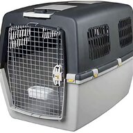 hundebox hundetransportbox gebraucht kaufen