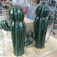 kaktus gebraucht kaufen