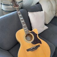 12 string gitarre gebraucht kaufen