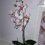 kunstpflanzen orchidee gebraucht kaufen