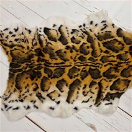 leopardenfell gebraucht kaufen