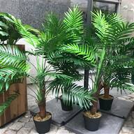 kunstliche palmen gebraucht kaufen