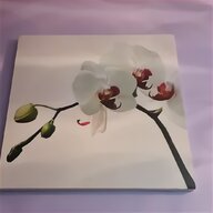 orchideen bilder gebraucht kaufen
