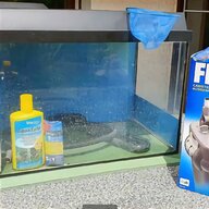 aquarium scheibenreiniger gebraucht kaufen