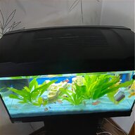 aquarium 60x30 gebraucht kaufen