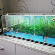 aquarium becken komplett gebraucht kaufen