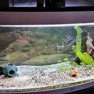 aquarium bio innenfilter gebraucht kaufen