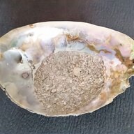 abalone shell gebraucht kaufen