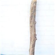 driftwood gebraucht kaufen