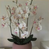 kunstblumen orchidee gebraucht kaufen