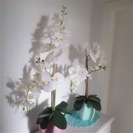 orchideen topf gebraucht kaufen
