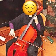 cello case gebraucht kaufen