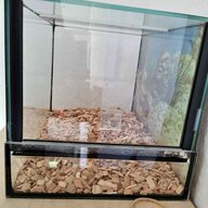 terrarium fur hamster gebraucht kaufen