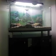 aquarium 80cm gebraucht kaufen