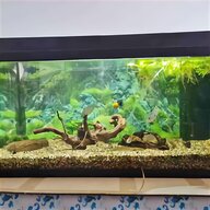 aquarium 80cm gebraucht kaufen