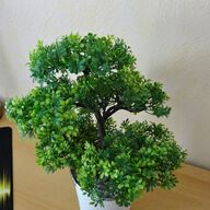 kunstlicher bonsai gebraucht kaufen