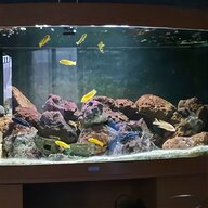 aquarium stromungspumpe gebraucht kaufen