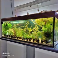 aquarium abdeckung 200 gebraucht kaufen