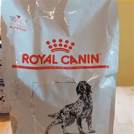 hunde royal canin gebraucht kaufen