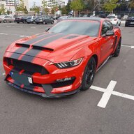 ford mustang shelby gebraucht kaufen