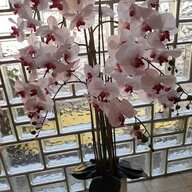 kunstliche orchidee gebraucht kaufen