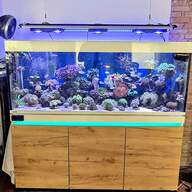 aquarium technik gebraucht kaufen